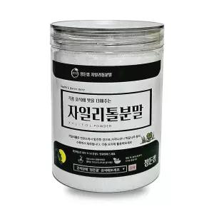 자일리톨분말 350g 정든팜 이중밀폐통 가루자일리톨 추출 농축 건조 선물용