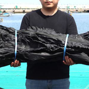 박회장제철음식 해풍다시마 500g 기장 다시마