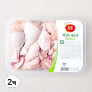 올품 무항생제 인증 자연이키운닭 닭볶음탕 (냉장) 1000g × 2팩