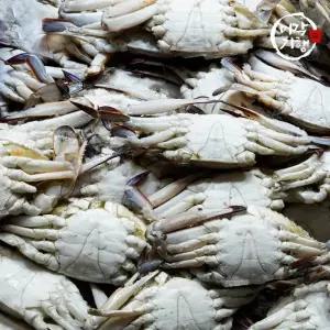 미각기행 제철 대박 활 숫꽃게 3kg(9-15미)