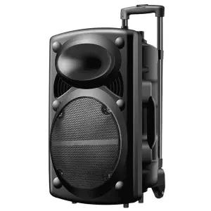 파워 앰프 이동식 300W 야외용 강의용 스피커 마이크 엠프 휴대용 음향 빅보스