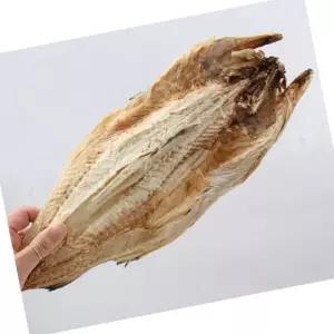 VB 통마리 먹태 45-49cm 10마리 7통 구이 안주 건어물