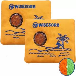 보관용 Wisesorb 100gx2pcs 충전식 제습제 팩 색상 표시 실리카겔 패킷 수분 흡수제 가시광선 창문 재사용