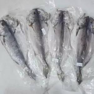매운탕생선 민어탕 반건조 민어 8미