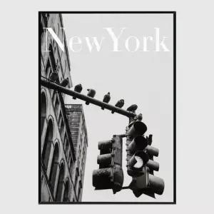 모던 인테리어액자 NYC Doves A2사이즈 그림액자 거실액자