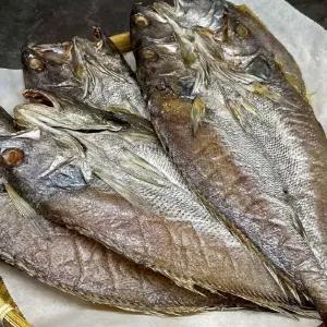 반건조 민어 10미