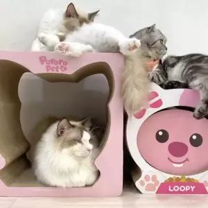 [콩심팥심]고양이 뽀로로 숨숨집 스크래쳐 하우스 (루피) 분리형