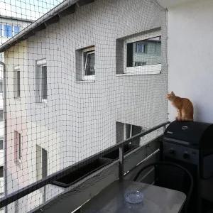 JUMXSRLE 고양이 그물 발코니 와이어 강화 물림 및 찢어짐 방지 자외선 내후성 반려동물용 미끄럼 윈도우