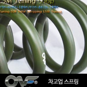 온프(ONF) 뒤차고 30~40mm 업스프링 올뉴카니발