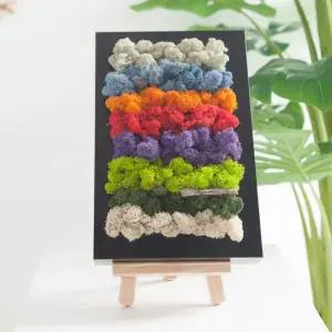 아트박스/플라워트리 스칸디아모스 공기정화식물 액자 비비드 set 30cm