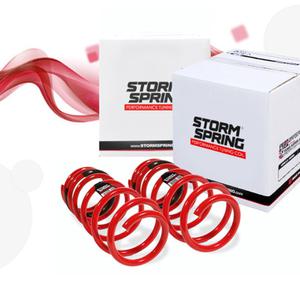 스톰 (STORM) 다운 스프링 오피러스/뉴오피러스용 (전륜40mm/후륜40mm 다운)