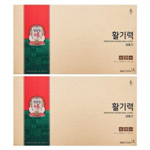 정관장 활기력 세트 20ml 16병 x 2박스 명절 감사 효도 선물