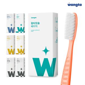 백선생 왕타칫솔 베이직10P 왕칫솔 대왕칫솔