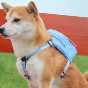 친절한탄씨 강아지 가방 하네스 산책 유치원 리드줄 슬링백 강아지백팩 강아지가방 강아지슬링백