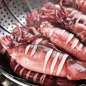 [새담] 국내산 한입 오징어 500g(4-6미내외) x 3팩