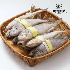 외모보다 맛굴비 실속 파굴비 20미 1.6kg/가정용