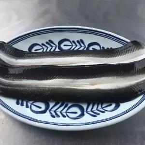 국내산 자포니카 민물장어 2미 손질후중량 650g