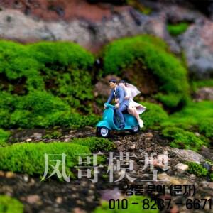 1/64 1/87 HO 스케일 커플 로맨틱 웨딩 장면 미니어처 모델 소품 다육식물 분재