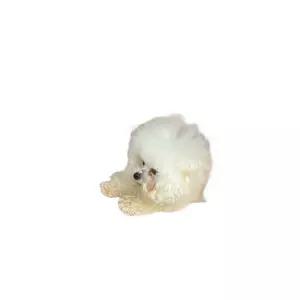 애견 레이스침대 강아지침대 펫베드 수면방석 프릴 고양이 강아지 침대