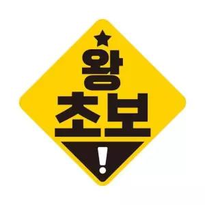 왕초보 고휘도반사 자석 자동차스티커 19x19cm 자석스티커