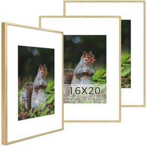 골든 스테이트 아트 16x20 - 포스터 매트와 사진 전시 유리가 골드 탈착식 장식용 11x14 홈 액자 실제 오피스 알루미늄 갤러리 3팩 벽 또는