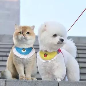 작은 강아지 리드줄 산책줄 소형견 고양이 하네스 반려견 목도리 반려묘 반려동물 애견 애묘 가슴줄