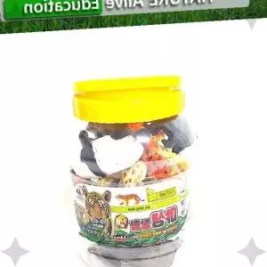 야생동물 피규어 세트 투명용기 보관형 자연관찰 학습교구 어린이 과학탐구 가정용