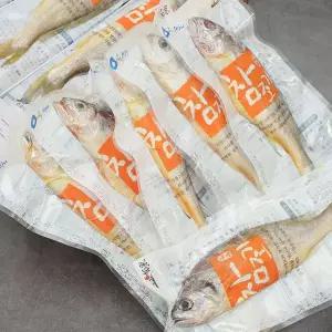 [작심밀도] 제주 참조기 중 20마리 (마리당 80g 이상)