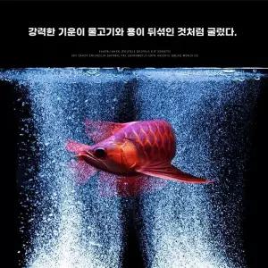 차량용 산소 기포기 수족관 기포 연결 활어차 물고기
