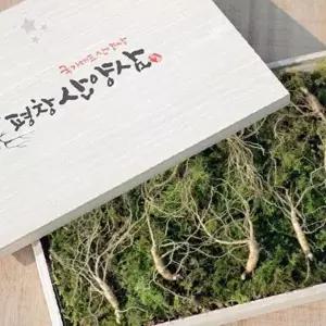 산양삼 5년근 5뿌리 건강식품 선물용 고급포장 천연재료 건강관리 가정용