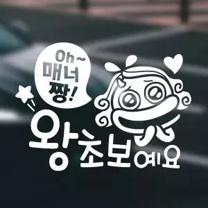 [RIZPICK]매너짱 왕초보 반사시트지 자동차스티커