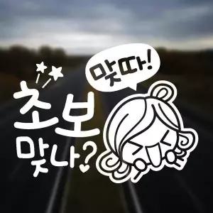 [RIZPICK]초보맞나 반사시트지 자동차스티커