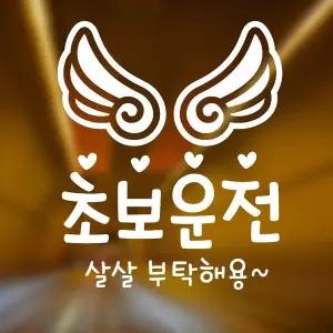 [RIZPICK]초보운전 살살부탁 반사시트지 자동차스티커