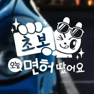 [RIZPICK]초보오늘면허땄어요 반사시트지 자동차스티커