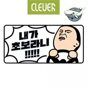 [RIZPICK]야광 고휘도 스티커 초보운전 표시판 안전 운전
