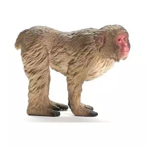 독일 슐라이히 동물모형 피규어 일본원숭이 미니어쳐 어린이날선물 완구 애니멀토이
