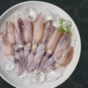 [작심밀도]맘스 제철 활 호래기 생물 500g