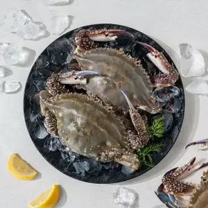 [작심밀도]맘스 제철 활암꽃게 1kg(4-6미내외)