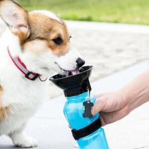 500ml 휴대용 야외 애완견/고양이 물병 압출형 대형견 여행용 물컵 애완동물 급수기