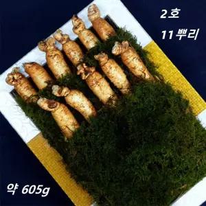 수삼 선물 세트 인삼 백숙 삼계탕 복날 보양식 선물 2호 11뿌리 금색보자기포함