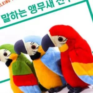 말하는 인형 앵무새 장난감 생일선물 어린이집 말따라하는 doll 소리나는