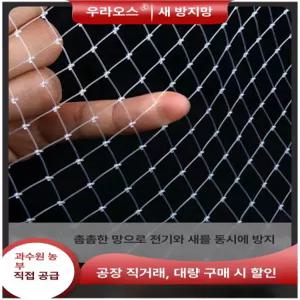 새망 참새 조류망 연못 식물