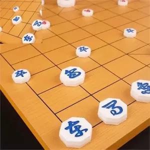 장기 기말 플라스틱 휴대용 놀이 장기 알 게임