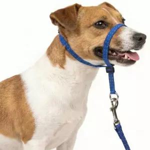 강아지를 위한 PupSensei 헤드칼라 추가 소프트 패딩 반사형 노 풀 도그 내구성 있는 나일론 목줄을 가진