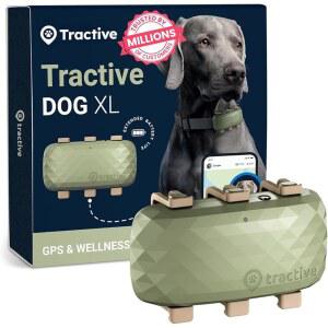 TRACTIVE XL 라이브 GPS 심박수 스마트 있는 호흡수 가상 울타리가 도그 트래커
