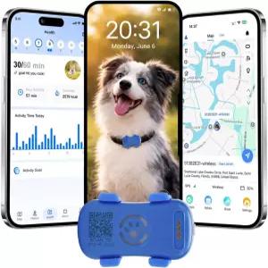 활동 및 웰빙 모니터링이 가능한 반려견용 GPS 트래커 실시간 추적 반려동물 위치 방수 기록 지오펜스