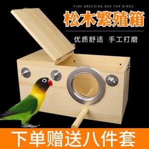 알통 새집 앵무새 대형 부화 모란새집 키우기 가로형 용품 중형 만들기