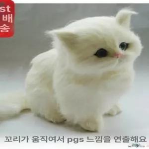 진짜같은 고양이 봉제 실제같은 장식품 모형 애착인형 카페 모찌 가짜 울음소리도 나고