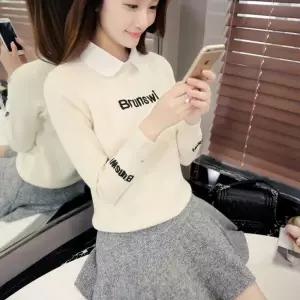 WL 셔츠카라 여성 넥케이프 셔츠 페이크카라 S11793