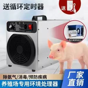 오존 발생기 냄새 공기 소독 탈취 제거 청정기 매장용 정화 10g